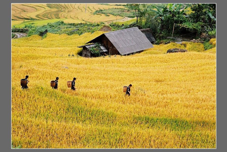 Hometravel Sapa Екстериор снимка
