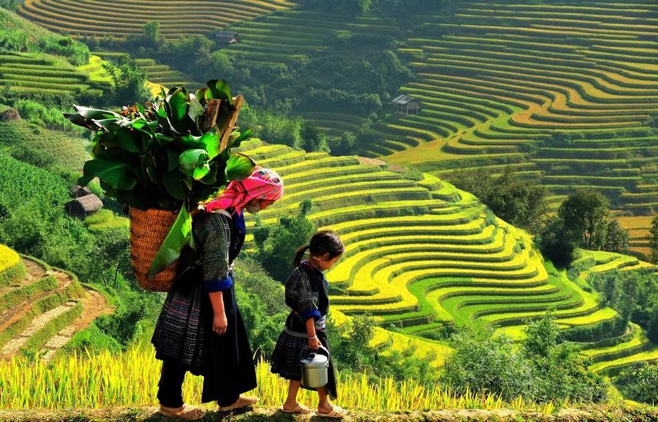 Hometravel Sapa Екстериор снимка
